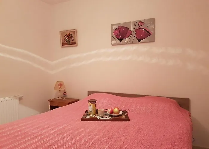 Sr480-033 Appt 3 Pieces 6 Personnes Raphael * Saint-Raphael (Var)